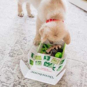 Benebone Durable Puppy Chew Toy Box for Aggressive Chewers with Wishbone, Fishbone, Stick & Zaggler