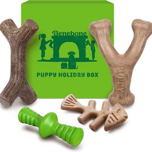 Benebone Durable Puppy Chew Toy Box for Aggressive Chewers with Wishbone, Fishbone, Stick & Zaggler